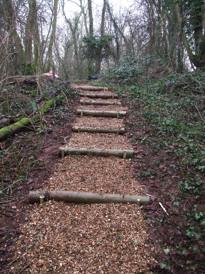 Penhow woodland steps